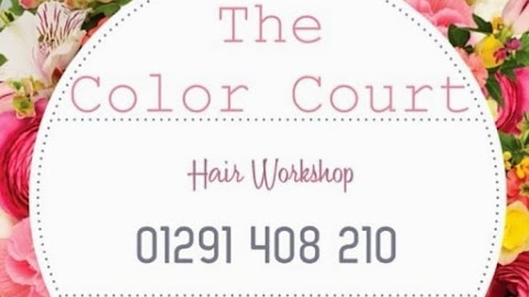 The Color Court Hair Workshop