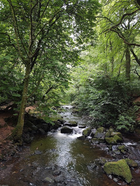 Crumlin Glen