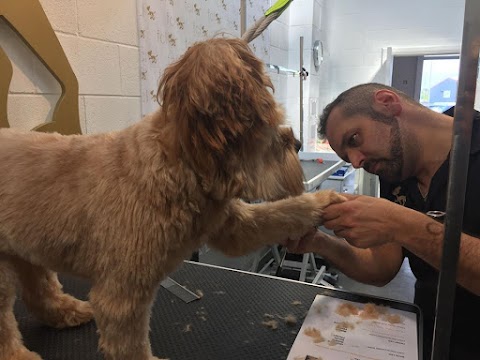 Doggie Style Grooming Studio