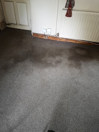 TWH Carpet Cleaning