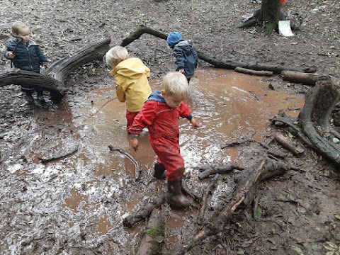 Wild Wood Bristol Forest School