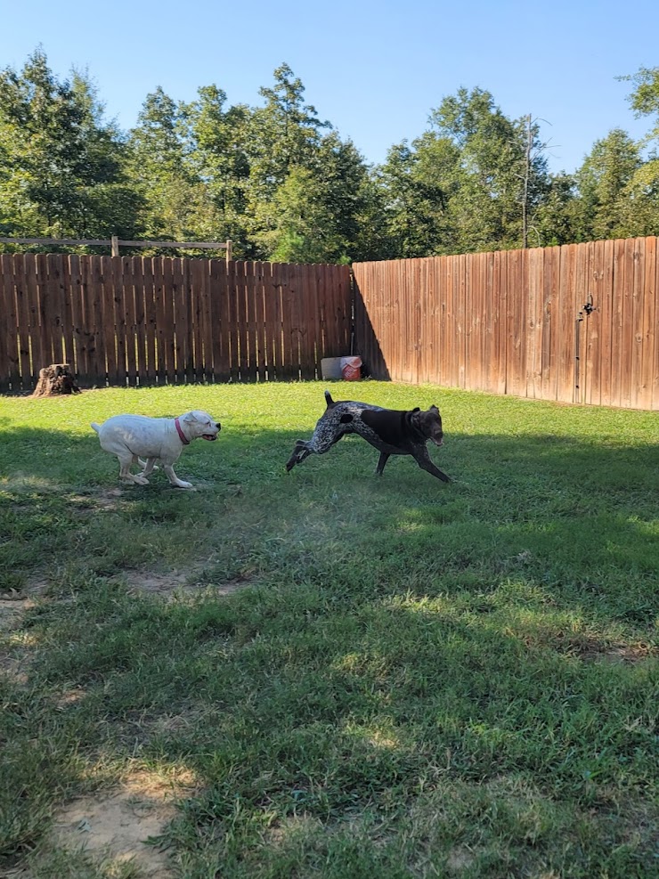 Camp Cypress Dog Retreat, Benton, LA