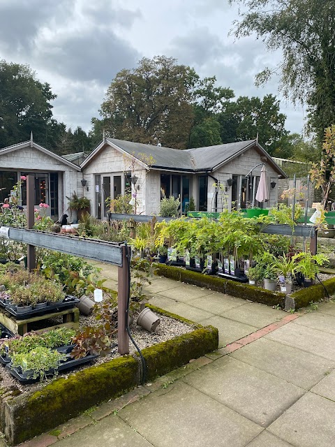 The Potting Shed Cafe