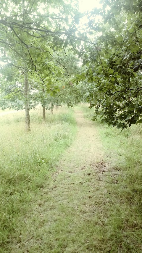 Perchy Pond Wishaw