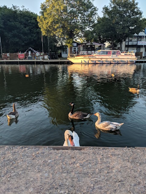 Caversham Boat Services