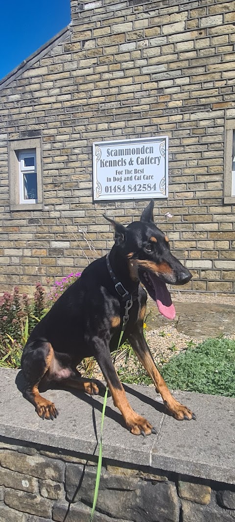 Scammonden kennels and cattery