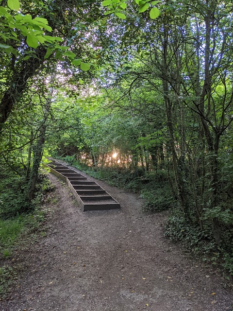 Park Lime Pits Local Nature Reserve