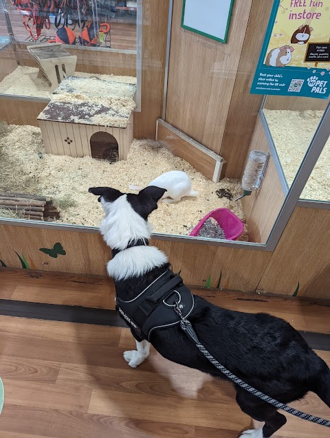 Pets at Home Irvine