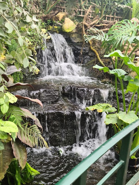 Stratford Butterfly Farm