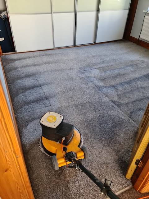 DS Carpet Cleaning Services Ltd