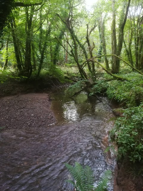 Seaton Valley Countryside Park