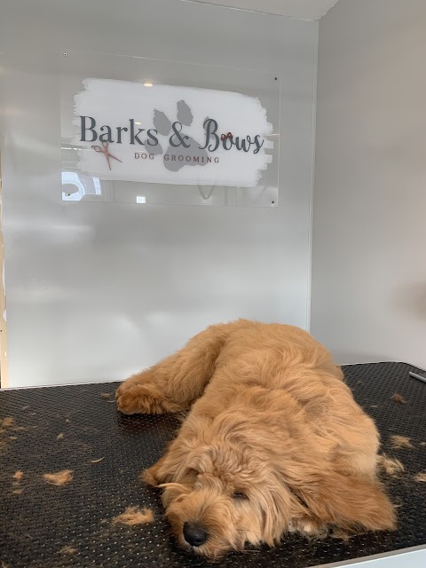 Barks & Bows Dog Grooming