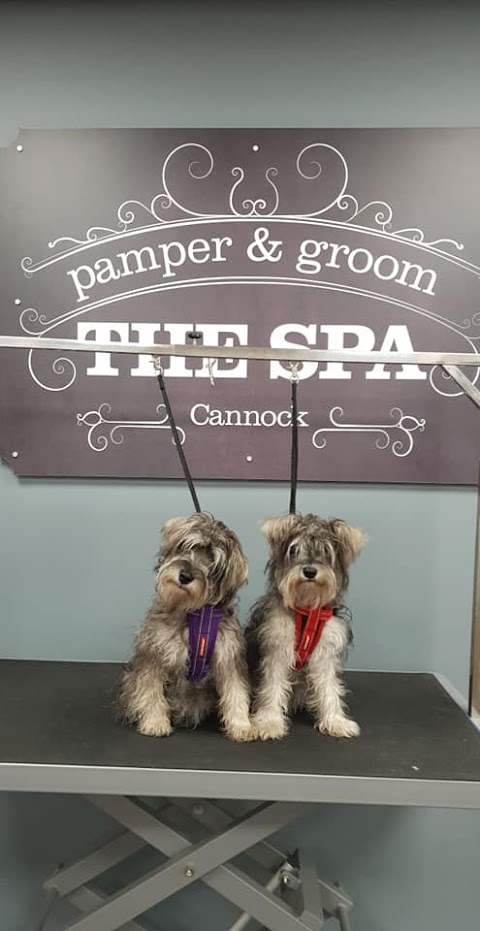 Dog Grooming - The Spa Cannock Pamper & Groom