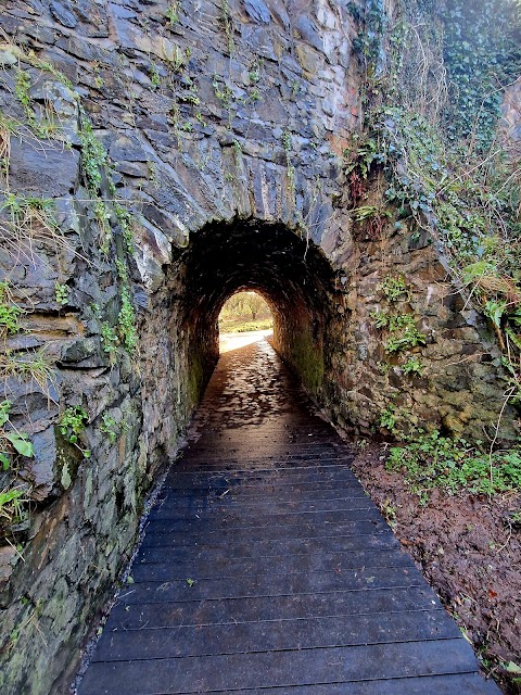 National Trust Lisnabreeny Cregagh Glen