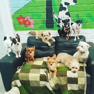 The Doggie Lodge