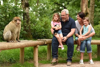 Trentham Monkey Forest