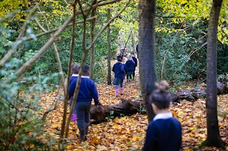 Beechfield School