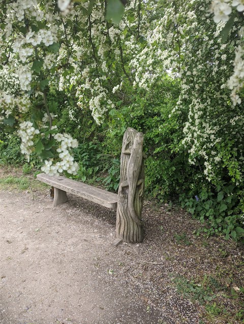 WaterWorks Centre Nature Reserve & Middlesex Filter Beds