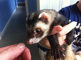 Winton Lodge Veterinary Clinic