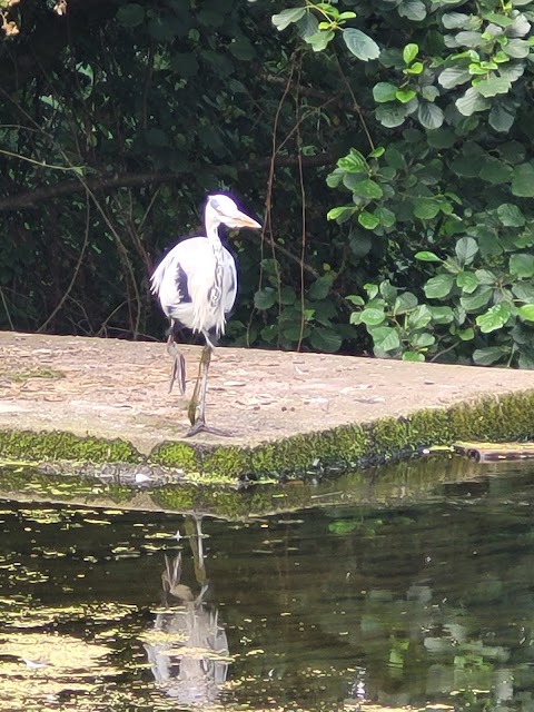 Kimberley Park