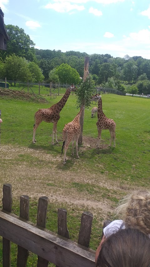 Marwell Zoo Science & Learning Centre
