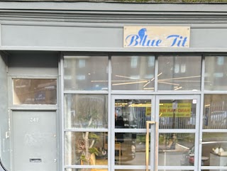 Blue Tit Brixton