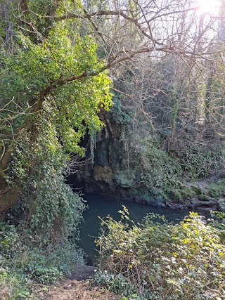 Leixlip Waterfall