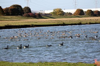 Northampton Washlands