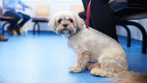 Rogers, Brock & Barker Veterinary Surgeons - Longton