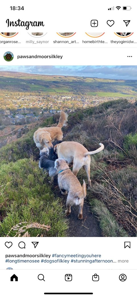 Paws and Moors Ilkley