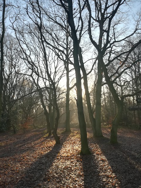 Havering Country Park
