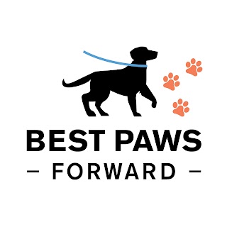 Best Paws Forward