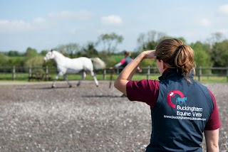 Buckingham Equine Vets