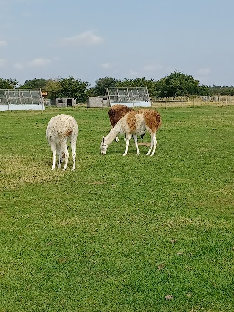 Melsop Farm Park