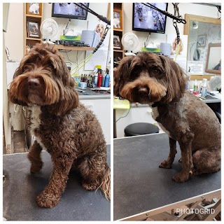 Head 2 Tails Grooming & Pet Supplies Ltd