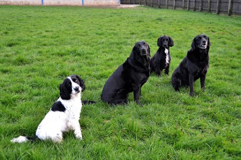 Highwood Boarding Kennels