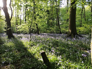 Eastham Country Park