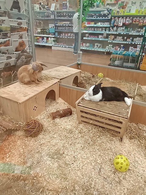 Pets at Home Kilmarnock