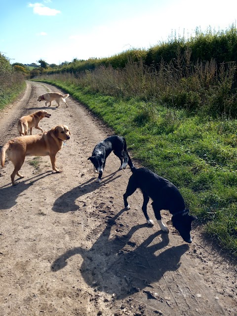 Dog Walkers in Berkshire