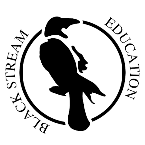 Black Stream Education