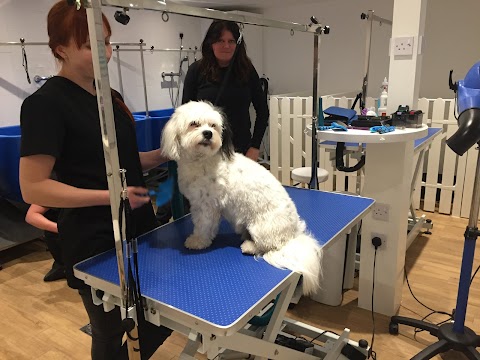 Bruce's Battlers Green (Paws For Thought Groomers)