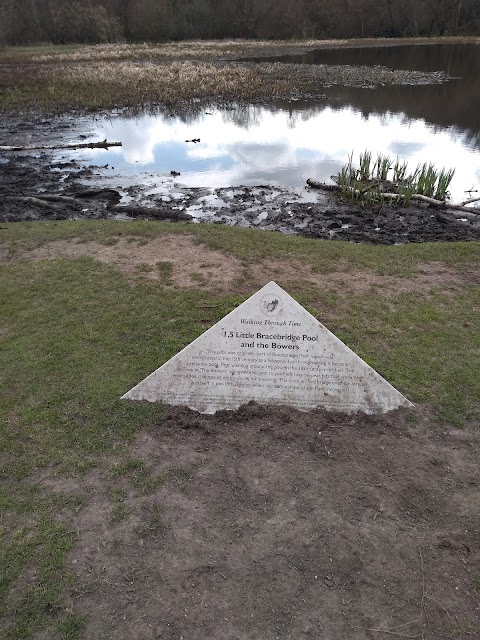 Little Bracebridge Pool