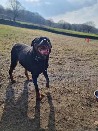 Rivelin Valley Dog Park