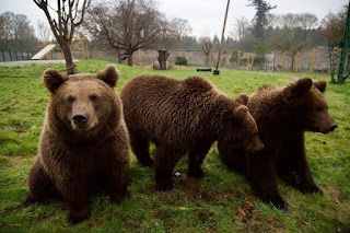 Camperdown Wildlife Centre