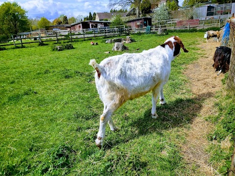 Brockswood Animal Sanctuary