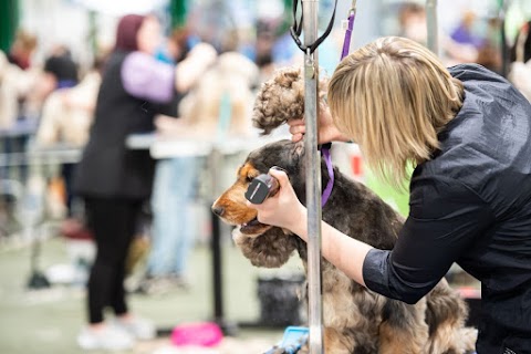 Paws For Thought Grooming