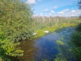 Mid-Yare National Nature Reserve