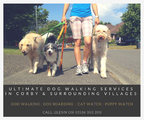 Ultimate Dog Walking Services