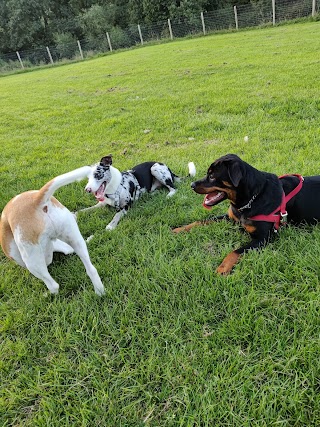 River Valley Dog Park