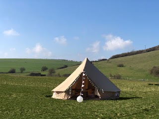 Beau and Bell at South Farm